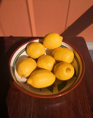 Tunisian Lemonade Citronnade Recipe Drink Fresh