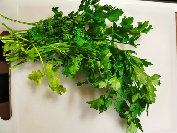 Italian parsley Tunisian tajine