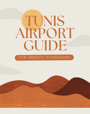 Tunis airport guide