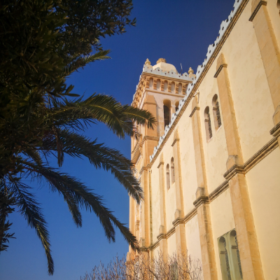 the best museums in Tunis Carthage