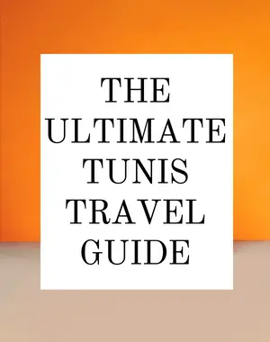 Tunis travel guide