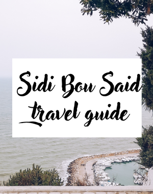 Sidi Bou Said travel guide