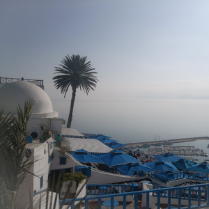 what to do in sidi bou said