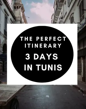 3 days in Tunis