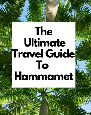Hammamet travel guide