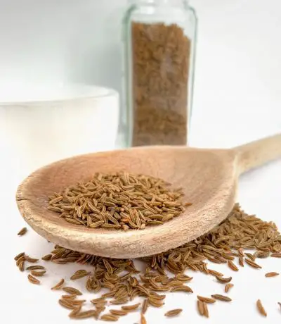 Tunisian Traditional and Popular Spices caraway