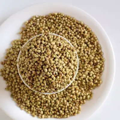 Tunisian Traditional and Popular Spices coriander